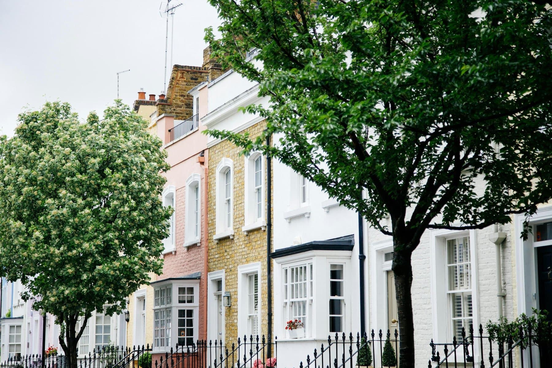 A terrace of pastel-painted Chelsea townhouses behind street trees in blossom.